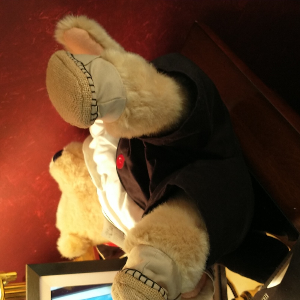 Retired - Cornelius VanderBear -  All Paws on Deck - NWT - 22" - Like New Cond. - Picture 7 of 7